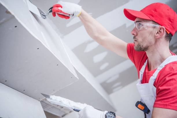 Best Drywall Installation  in Hamilton, AL